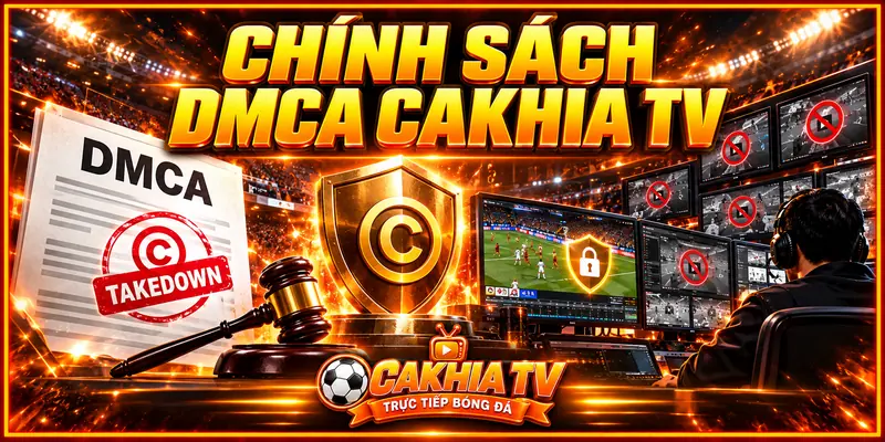 Mục đích xây dựng chính sách DMCA trên CakhiaTV