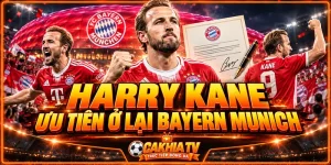 Harry Kane ưu tiên ở lại Bayern Munich vì điều gì